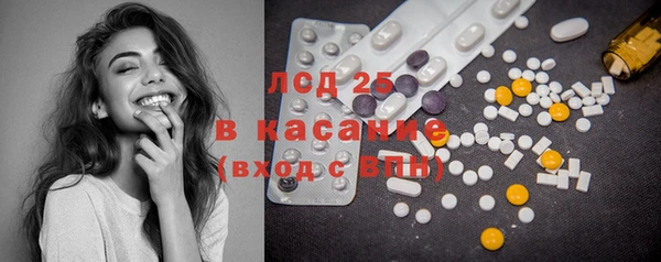 шишки Снежногорск
